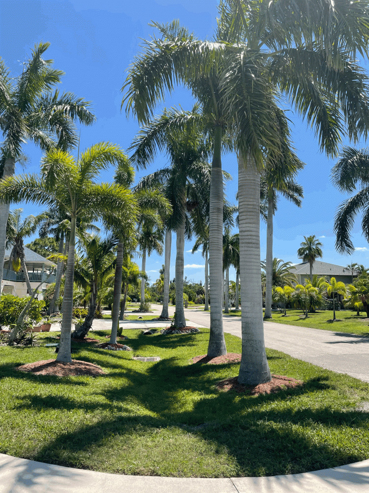 Captains Cove Homeowners Association - Bokeelia, FL